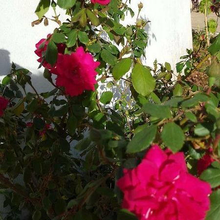 فيلا Giardini Di Lanzo مارتينا فرانكا المظهر الخارجي الصورة
