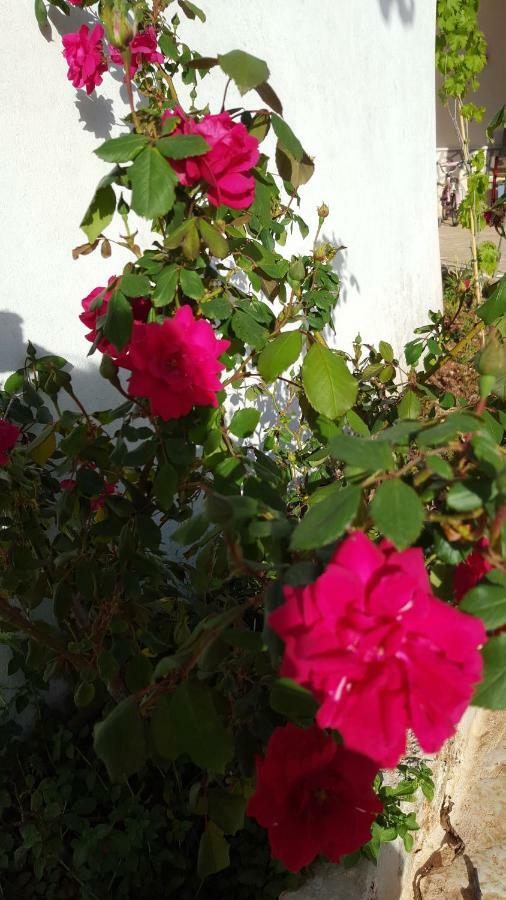 فيلا Giardini Di Lanzo مارتينا فرانكا المظهر الخارجي الصورة